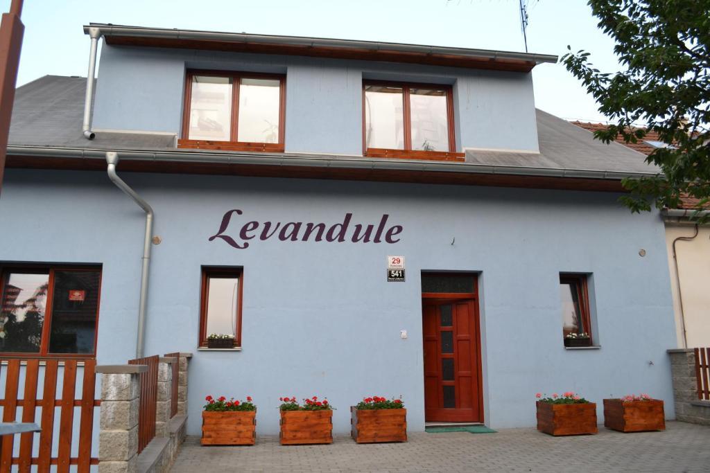 Levandule Brünn  Kültér fotó